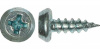 Саморезы "Клопы" полуцилиндрическая головка Ph № 2 острый наконечник цинк 3,5 х 11 мм.